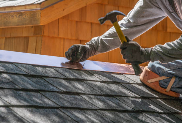 Best Roof Coating Services  in Donna, TX