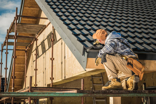 Best Gutter Installation and Repair  in Donna, TX