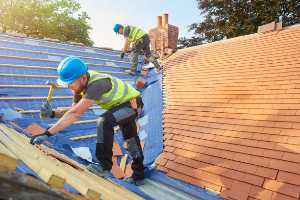 Best Roof Insulation Installation  in Donna, TX